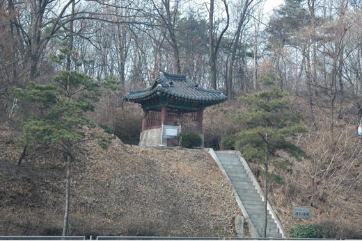 지지대비